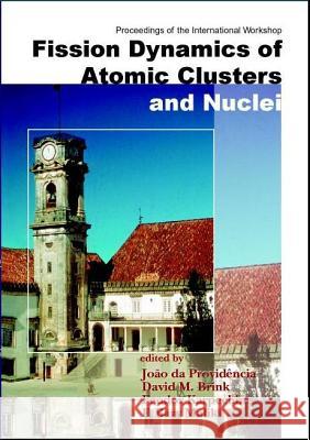 Fission Dynamics of Atomic Clusters and Nuclei - Proceedings of the International Workshop Joao Da Providencia Feodor Karpechine David M. Brink 9789810246952 World Scientific Publishing Company - książka