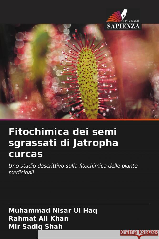 Fitochimica dei semi sgrassati di Jatropha curcas Muhammad Nisar U Rahmat Ali Khan Mir Sadiq Shah 9786207226207 Edizioni Sapienza - książka