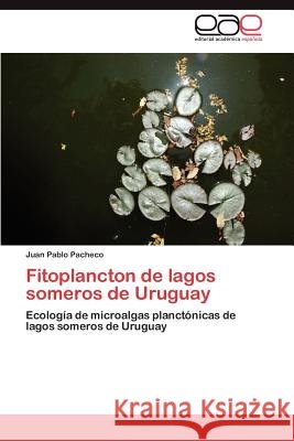 Fitoplancton de Lagos Someros de Uruguay Juan Pablo Pacheco 9783846573280 Editorial Acad Mica Espa Ola - książka