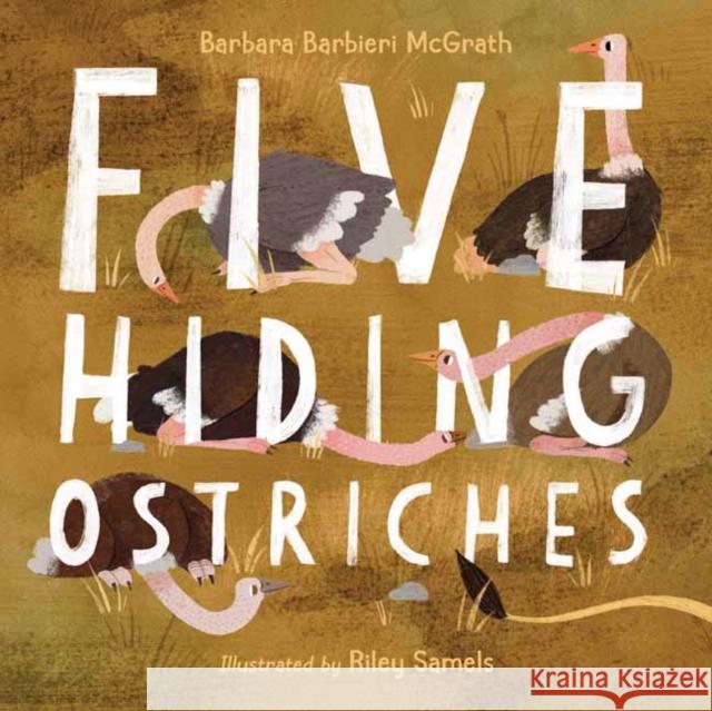 Five Hiding Ostriches Riley Samel 9781623541965 Charlesbridge Publishing - książka