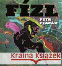 Fízl Petr Placák 9788025737897 Ústav pro studium totalitních režimů - książka