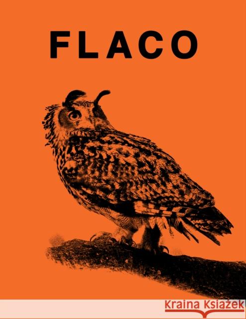 FLACO: The Owl Who Escaped Captivity and Won the Hearts of the World  9781963814095 Blurring Books - książka