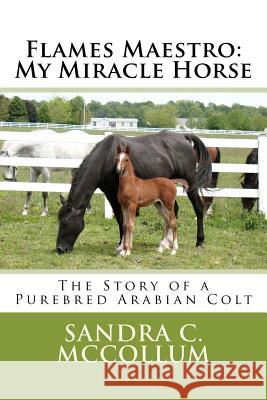 Flames Maestro: My Miracle Horse: The Story of a Purebred Arabian Colt MS Sandra C. McCollum 9781479168057 Createspace - książka