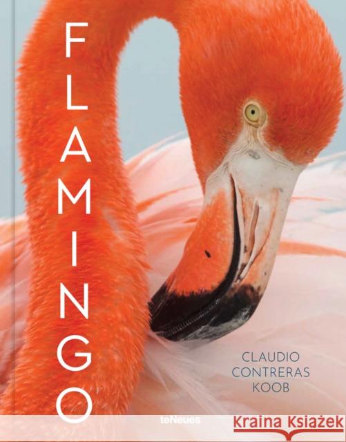 Flamingo Claudio Contreras Koob 9783961713875 teNeues Publishing UK Ltd - książka