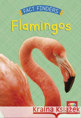 Flamingos Katie Woolley 9780711273139 Qeb Publishing -- Quarto Library - książka