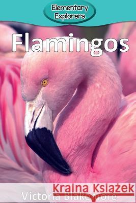 Flamingos Victoria Blakemore 9780998824338 Victoria Blakemore - książka