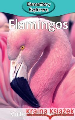 Flamingos Victoria Blakemore 9780998824390 Victoria Blakemore - książka