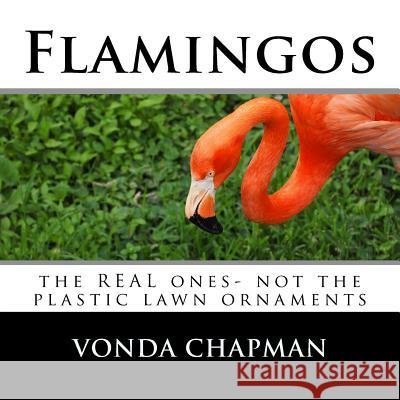 Flamingos: the REAL ones- not the plastic lawn ornaments Chapman, Vonda 9781718620070 Createspace Independent Publishing Platform - książka