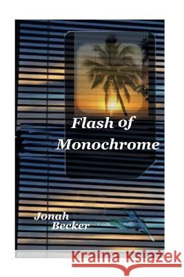 Flash of Monochrome M. Shiu Ming-Li Shiu Jui-Chin Jiang 9781484194591 John Wiley & Sons - książka