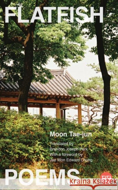 Flatfish: Poems Tae-Jun Moon 9781978841253 Rutgers University Press - książka