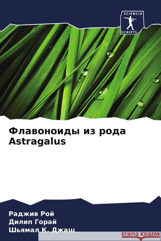 Flawonoidy iz roda Astragalus Roj, Radzhiw, Goraj, Dilip, K. Dzhash, Sh'qmal 9786206513841 Sciencia Scripts - książka