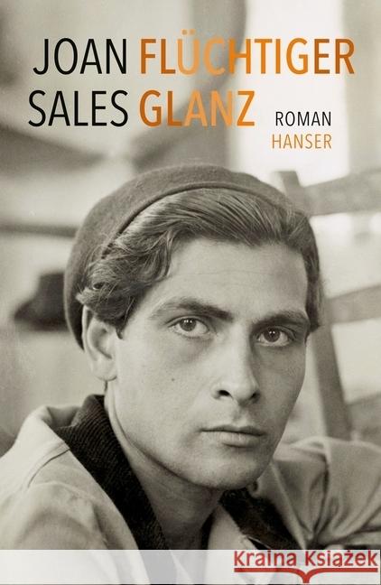 Flüchtiger Glanz : Roman Sales, Joan 9783446249103 Hanser - książka