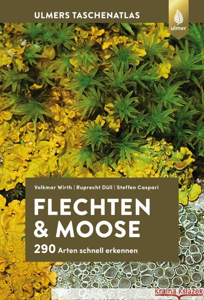 Flechten und Moose Wirth, Volkmar, Düll, Ruprecht, Caspari, Steffen 9783818620509 Verlag Eugen Ulmer - książka