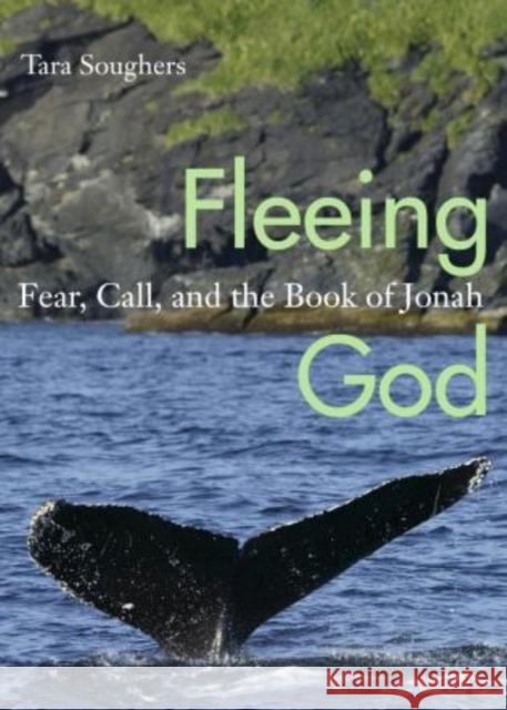 Fleeing God: Fear, Call, and the Book of Jonah Soughers, Tara 9781561012954 Cowley Publications - książka