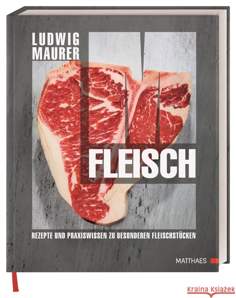 Fleisch Maurer, Ludwig 9783985410613 Matthaes - książka
