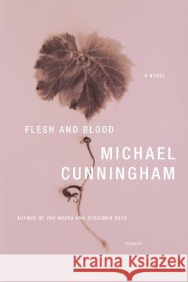 Flesh and Blood Michael Cunningham 9780312426682 Picador USA - książka