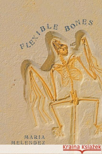 Flexible Bones Maria Melendez Mara (Mara Teresa) Melndez 9780816528332 University of Arizona Press - książka