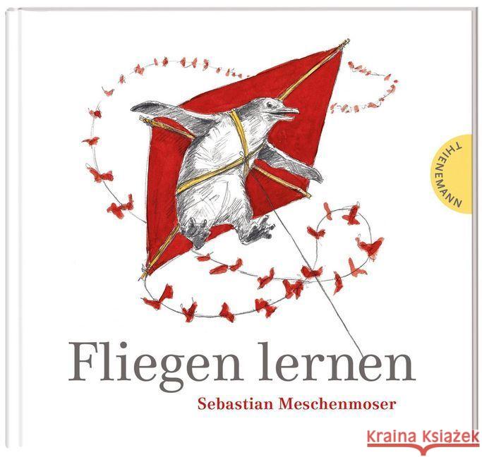 Fliegen lernen Meschenmoser, Sebastian 9783522459211 Thienemann Verlag - książka