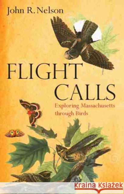 Flight Calls: Exploring Massachusetts Through Birds Nelson, John R. 9781625344700 Bright Leaf - książka