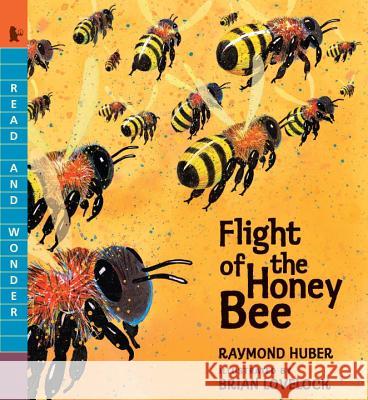 Flight of the Honey Bee Raymond Huber Brian Lovelock 9780763676483 Candlewick Press (MA) - książka