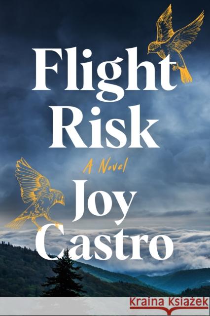 Flight Risk Joy Castro 9781542031929 Lake Union Publishing - książka