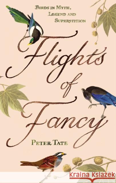 Flights of Fancy : Birds in Myth, Legend and Superstition Peter Tate 9780099509875 ARROW BOOKS LTD - książka