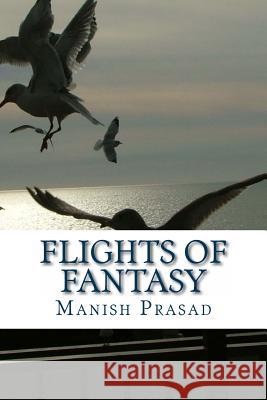 Flights of Fantasy MR Manish Prasad 9781494766375 Createspace - książka