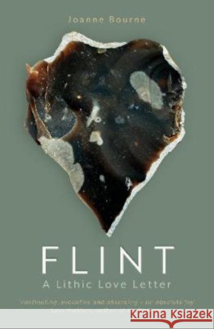 Flint: a lithic love letter Joanne Bourne 9781785634611 Eye Books - książka