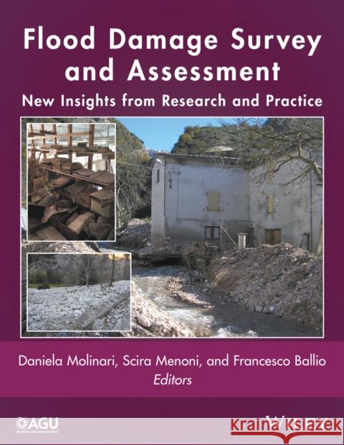 Flood Damage Survey and Assessment: New Insights from Research and Practice Menoni, Scira 9781119217923 American Geophysical Union - książka