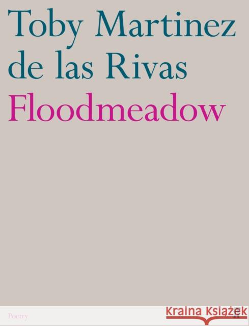 Floodmeadow Toby Martinez de las Rivas 9780571376438 Faber & Faber - książka
