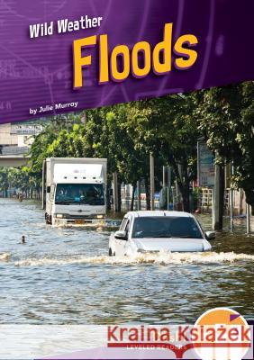 Floods Julie Murray 9781532120862 Dash! - książka