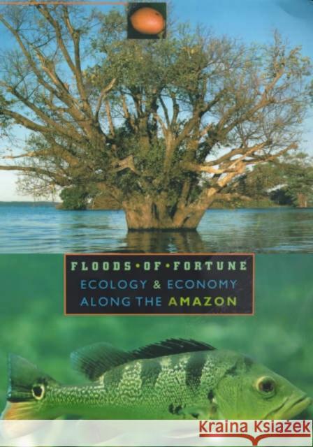 Floods of Fortune: Ecology and Economy Along the Amazon Goulding, Michael 9780231104210 Columbia University Press - książka