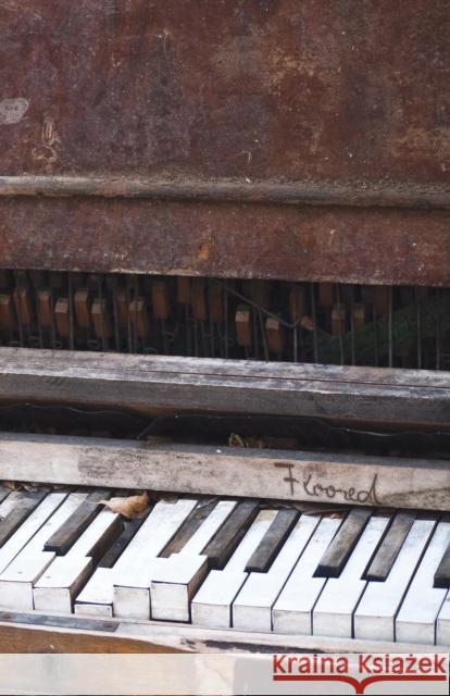 Floored!: The Poetry of Maiche Lev Maiche Lev 9780997575729 Hdw Publications - książka