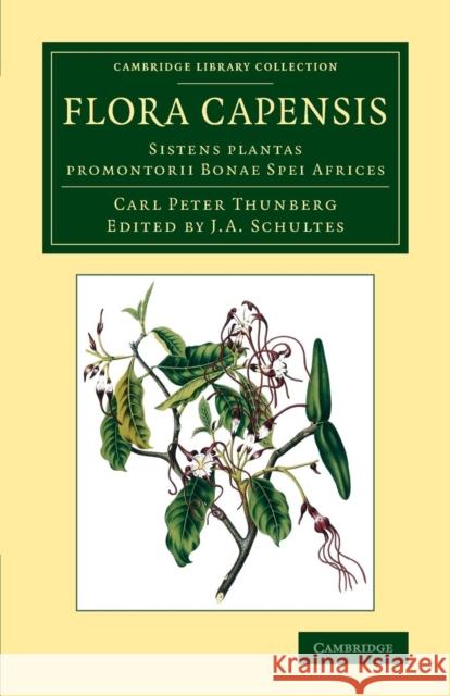 Flora Capensis: Sistens Plantas Promontorii Bonae Spei Africes Thunberg, Carl Peter 9781108067799 Cambridge University Press - książka