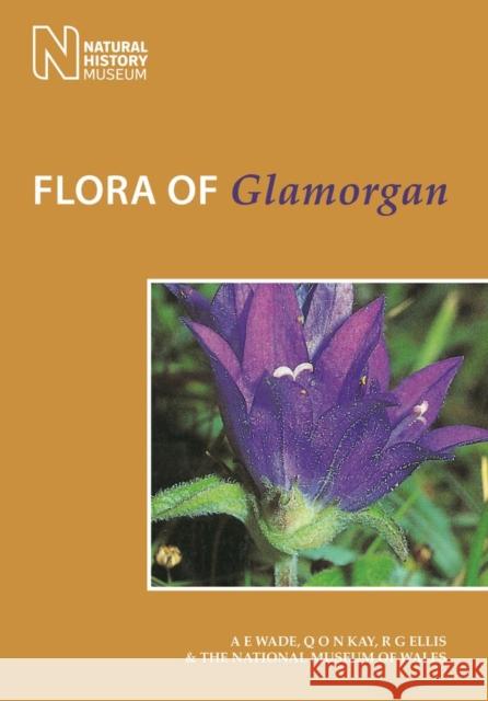 Flora of Glamorgan A. E. Wade Q. O. N. Kay R. G. Ellis 9781784270797 Pelagic Publishing Ltd - książka