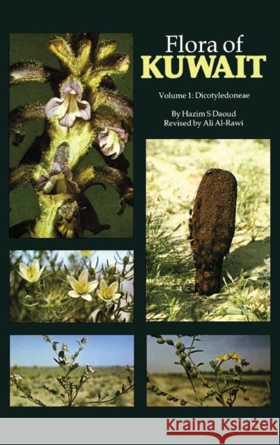 Flora Of Kuwait: Volume 1 Dicotyledoneae Daoud, Hazim S. 9780710300751 Routledge - książka