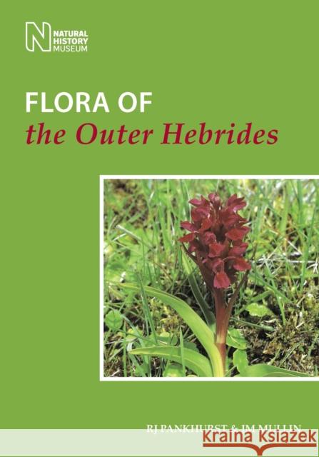 Flora of the Outer Hebrides Rj Pankhurst Jm Mullin 9781907807497 Pelagic Publishing Ltd - książka