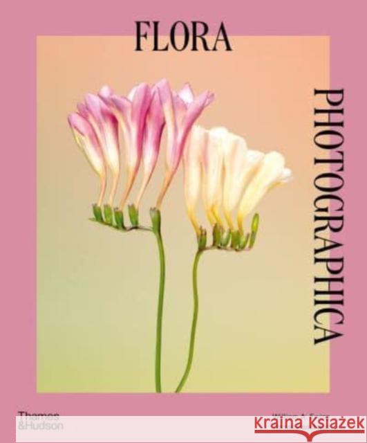 Flora Photographica Danae Panchaud 9780500297551 Thames & Hudson Ltd - książka