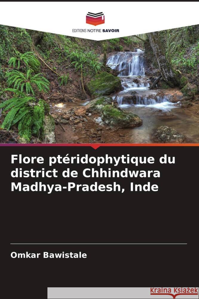 Flore ptéridophytique du district de Chhindwara Madhya-Pradesh, Inde Bawistale, Omkar 9786208369675 Editions Notre Savoir - książka
