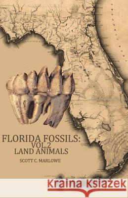 Florida Fossils: Land Animals Scott C. Marlowe 9781494958992 Createspace - książka