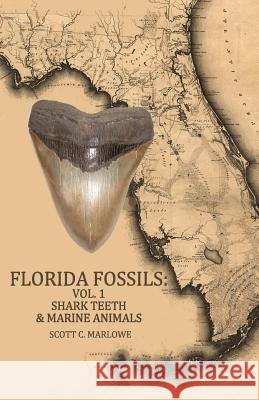 Florida Fossils: Shark Teeth & Marine Animals Scott C. Marlowe 9781494881757 Createspace - książka