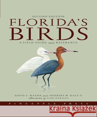 Florida's Birds: A Field Guide and Reference Maehr, David S. 9781561643356 Pineapple Press (FL) - książka