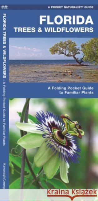 Florida Trees & Wildflowers: A Folding Pocket Guide to Familiar Plants Kavanagh, James 9781583550885 Waterford Press - książka