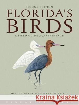 Florida's Birds: A Field Guide and Reference Maehr, David S. 9781561643356 Pineapple Press (FL) - książka