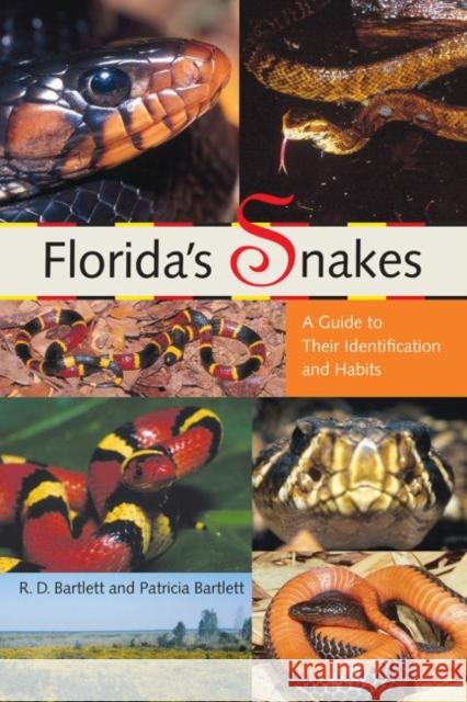 Florida's Snakes: A Guide to Their Identification and Habits Bartlett, Richard D. 9780813026367 University Press of Florida - książka