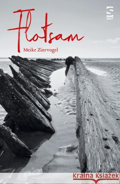 Flotsam Meike Ziervogel 9781784631789 Salt Publishing - książka
