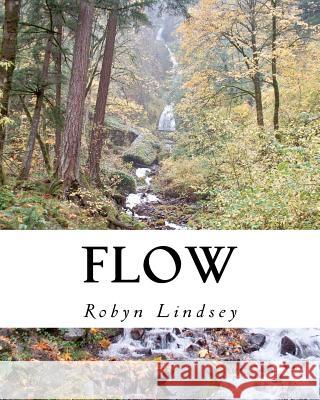 Flow Robyn Lindsey 9781480296121 Createspace - książka