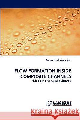 Flow Formation Inside Composite Channels  9783844310894 LAP Lambert Academic Publishing AG & Co KG - książka