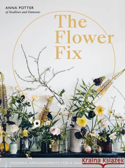 Flower Fix: Modern arrangements for a daily dose of nature Anna Potter 9781781317884 Quarto Publishing PLC - książka