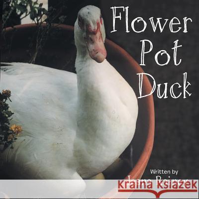 Flower Pot Duck Jeana Rainey 9781489706263 Liferich - książka